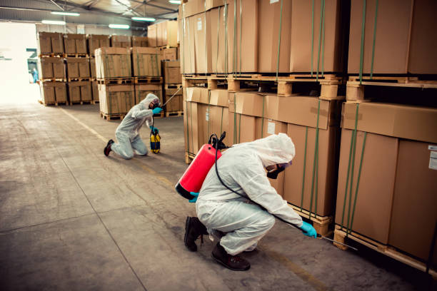 Best Bed Bug Extermination  in Edgard, LA