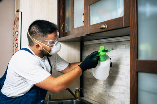 Best Pest Removal Services  in Edgard, LA