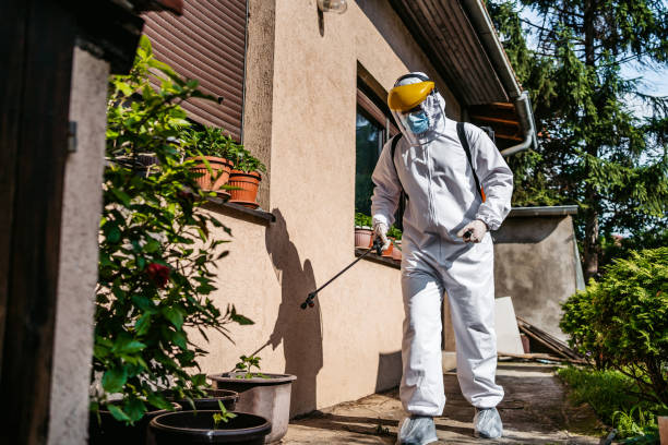 Best Local Pest Control Services  in Edgard, LA