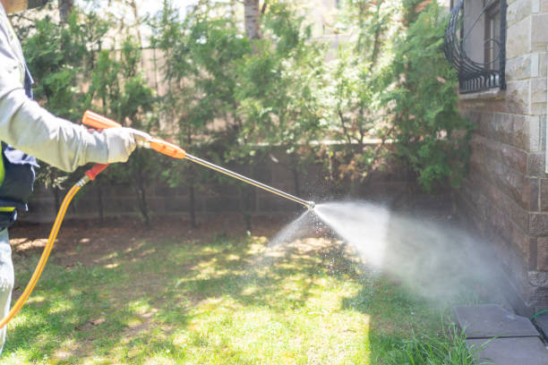 Best Spider Control Near Me  in Edgard, LA