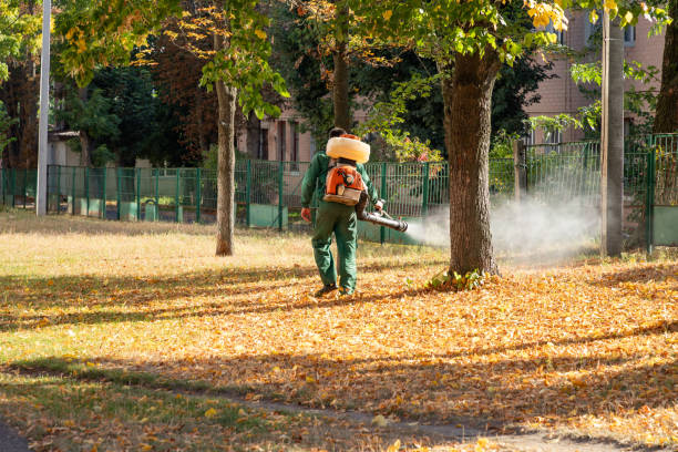 Best Emergency Pest Control  in Edgard, LA