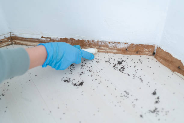 Best Pest Control for Homes  in Edgard, LA
